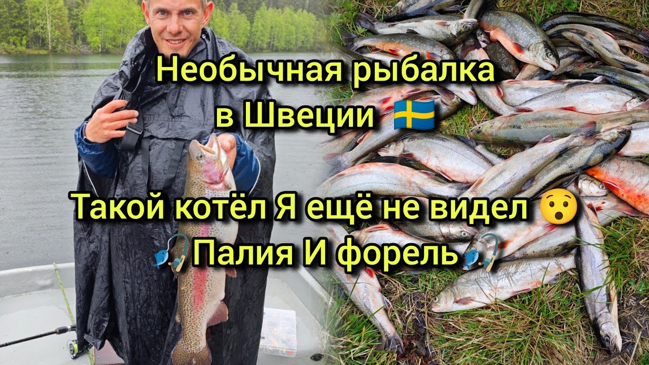 Необычная рыбалка в Швеции — улов мечты, палия и форель!