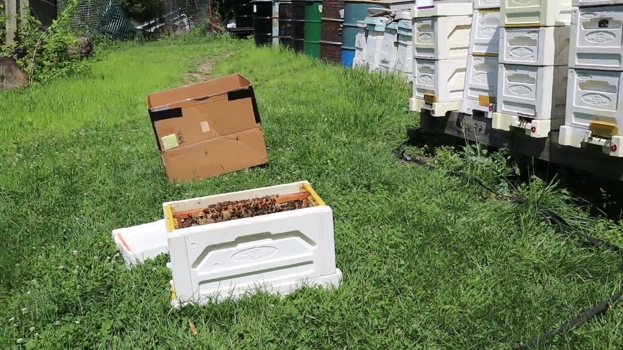 Getting Nucs Ready For Customers