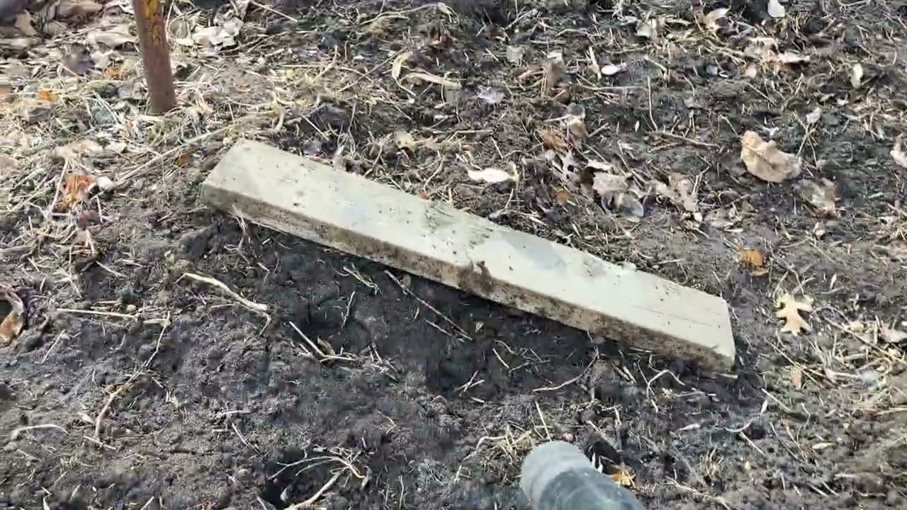 Clean Tree Seeds out of Garden 