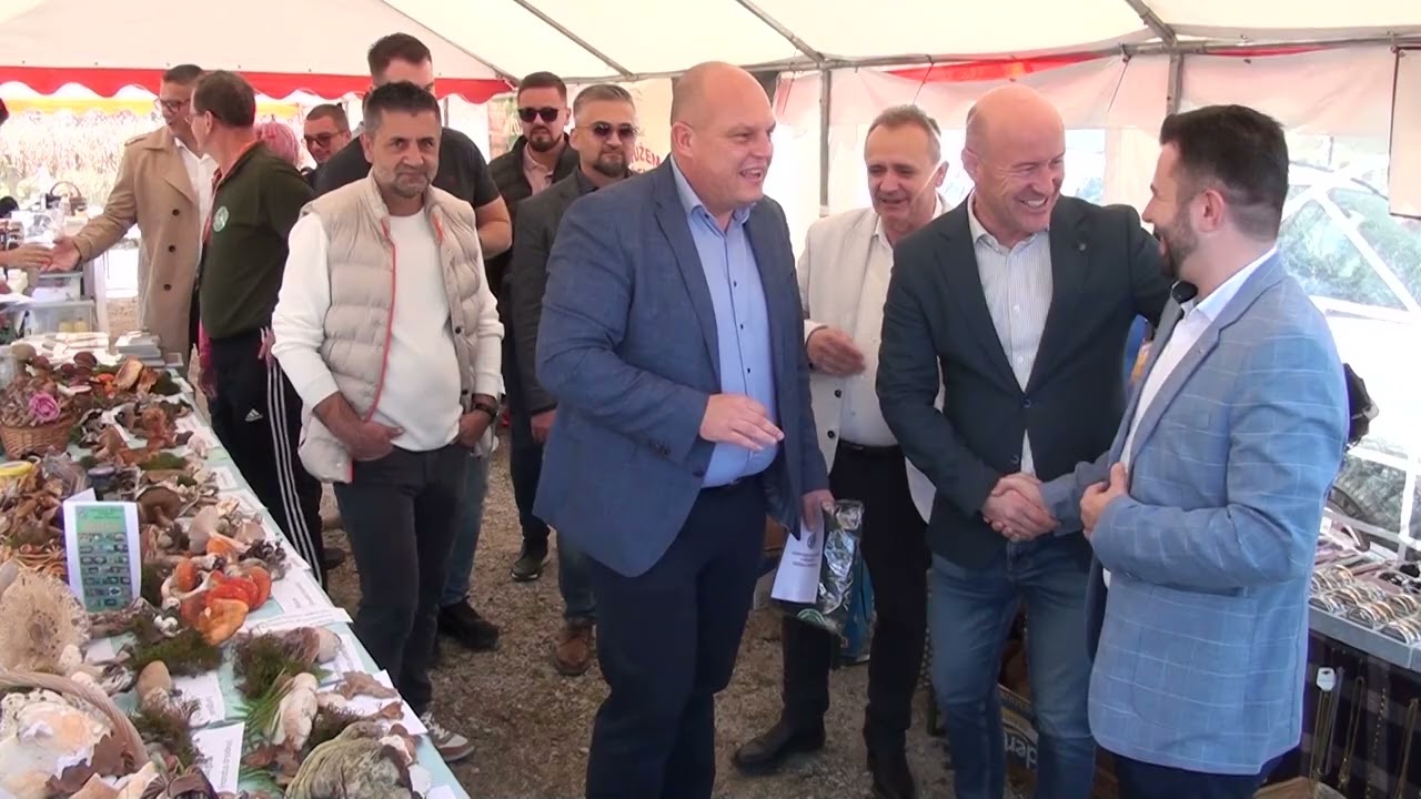 Šesti 