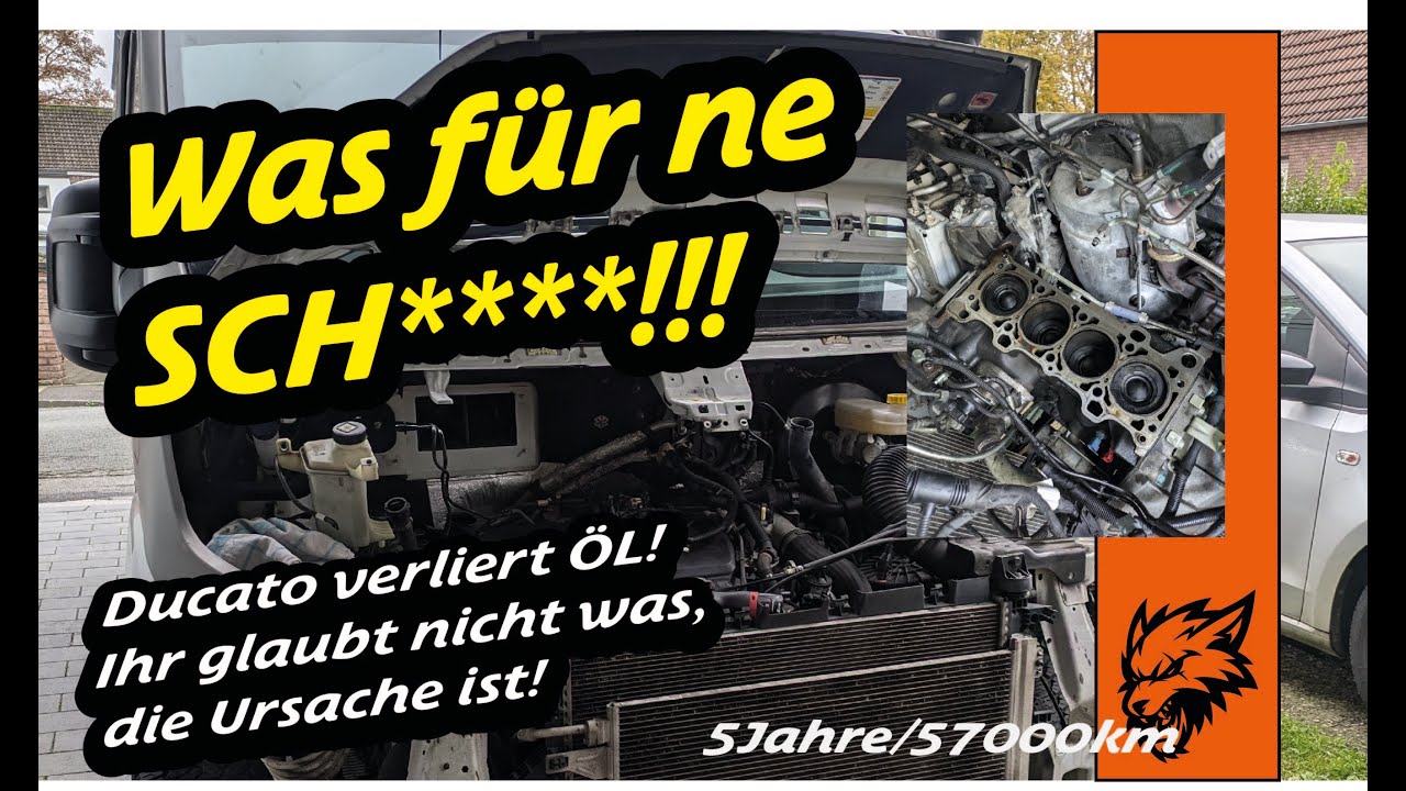 Ducato Motor zerlegen, nach enormen Ölverlust. Kopfdichtung und Zahnriemen neu! Die Ursache hier!