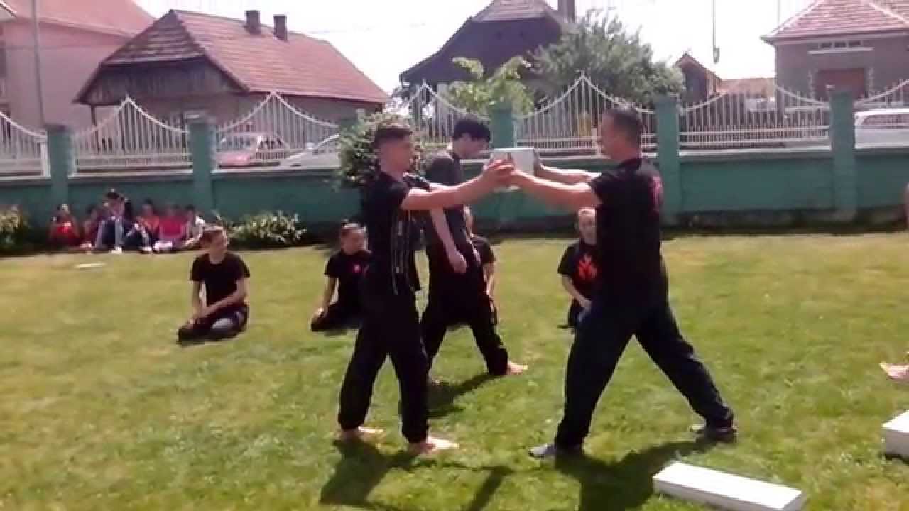 Demonstratie de Karate, Karate bemutat&ograve;, Club sportiv YAKUZA (Botiz)