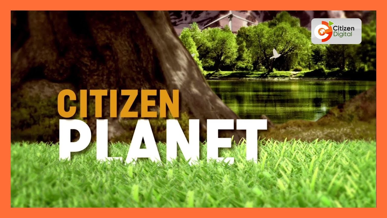 CITIZEN PLANET | Crab farming in Pate Island