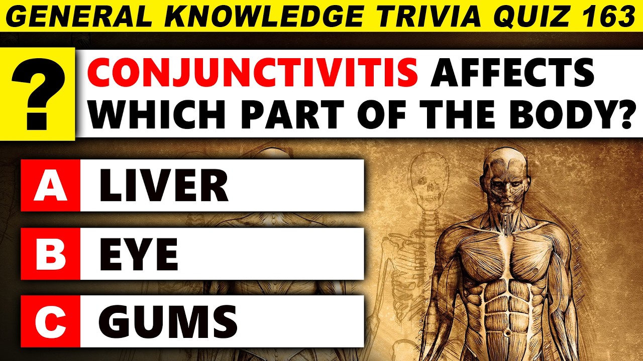 Time For Another Round Of The Ultimate Trivia Quiz! (Round 163)