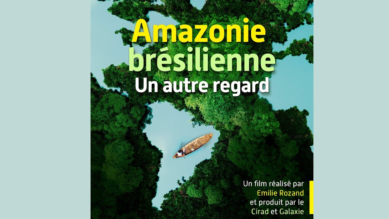Amazonie brésilienne, un autre regard
