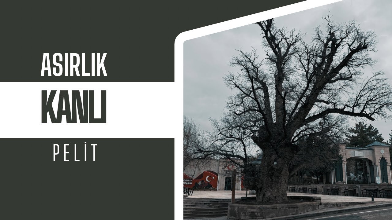 KANLI PELİT 