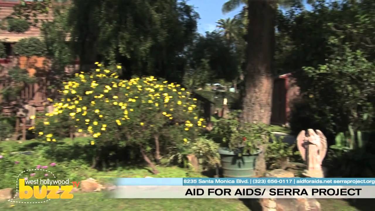 MyLocalBuzzTV Aids for Aids/The Serra Project West Hollywood