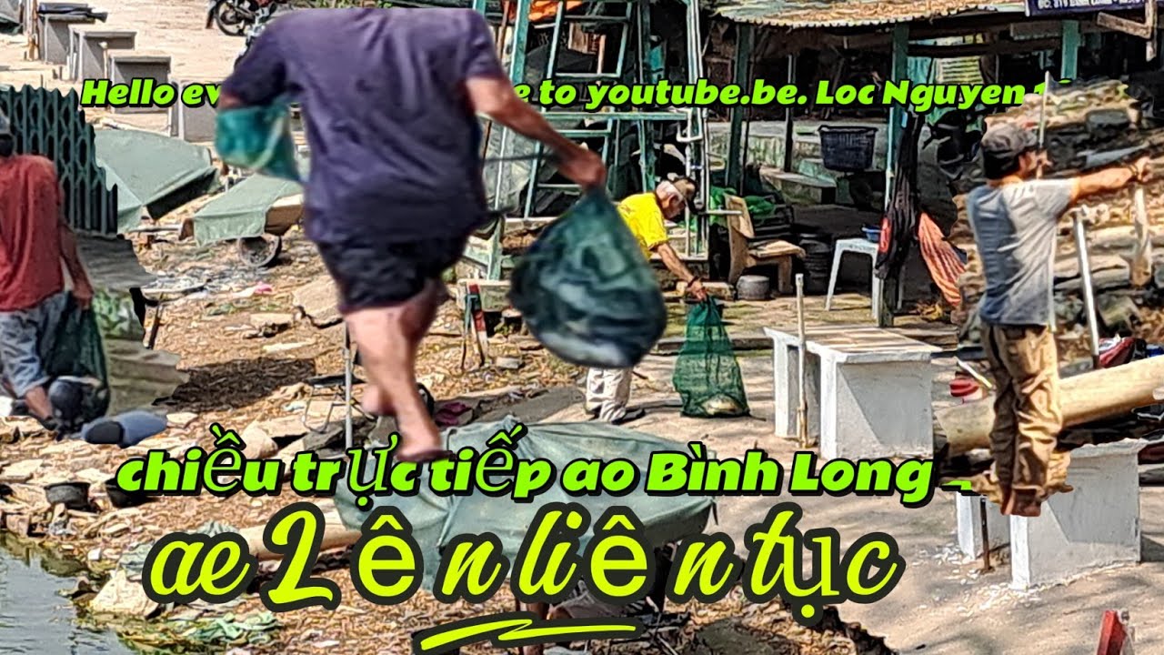 Hello everyone, welcome to youtube.be. Loc Nguyen 168 chiều 4/3 ao Bình Long