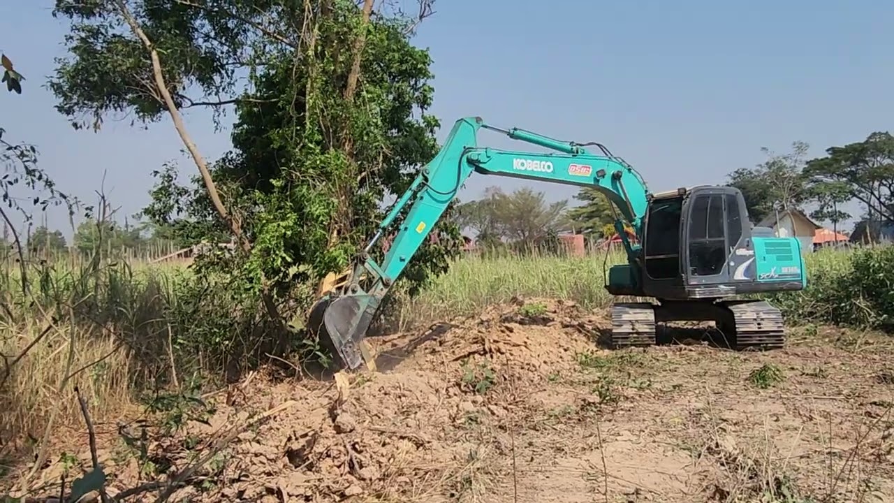 จะเอาเท่าไหร่ดีต้นนี้