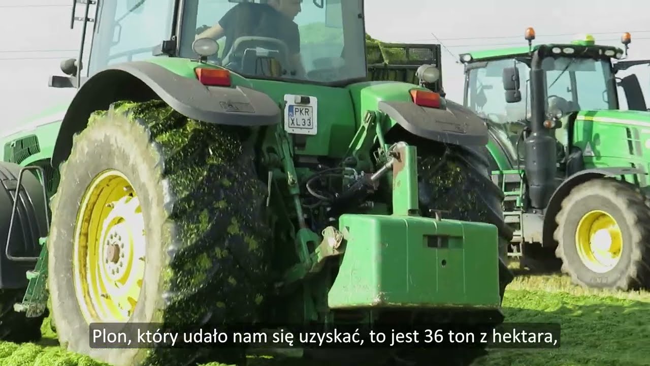 Jęczmień hybrydowy Hyvido na kiszonkę