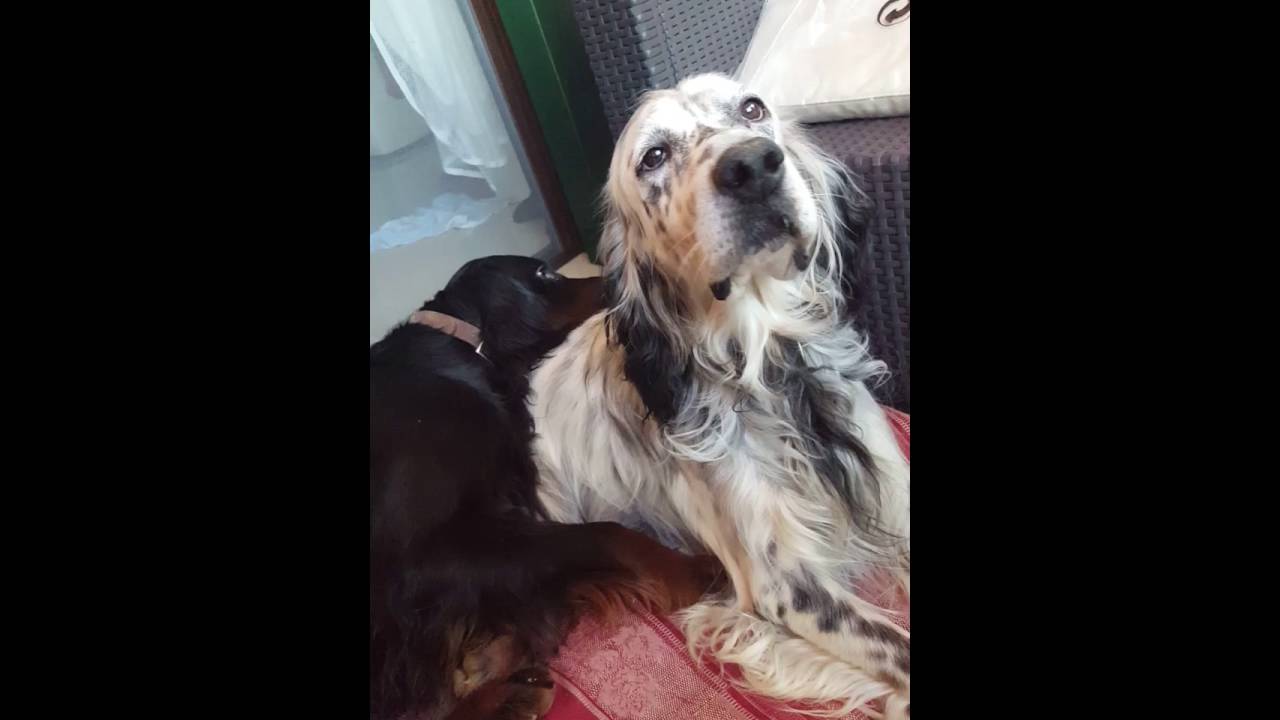 Secondo voi chi è il colpevole?