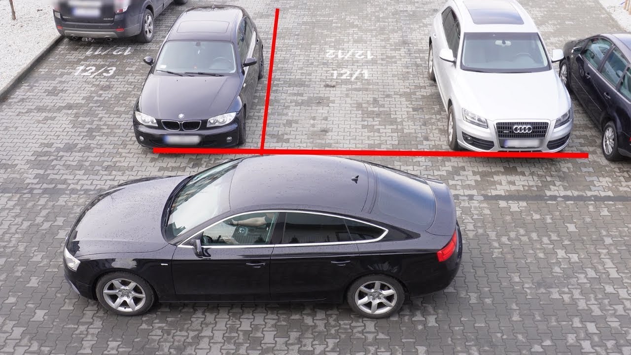 Things They Don't Teach You in Driving School