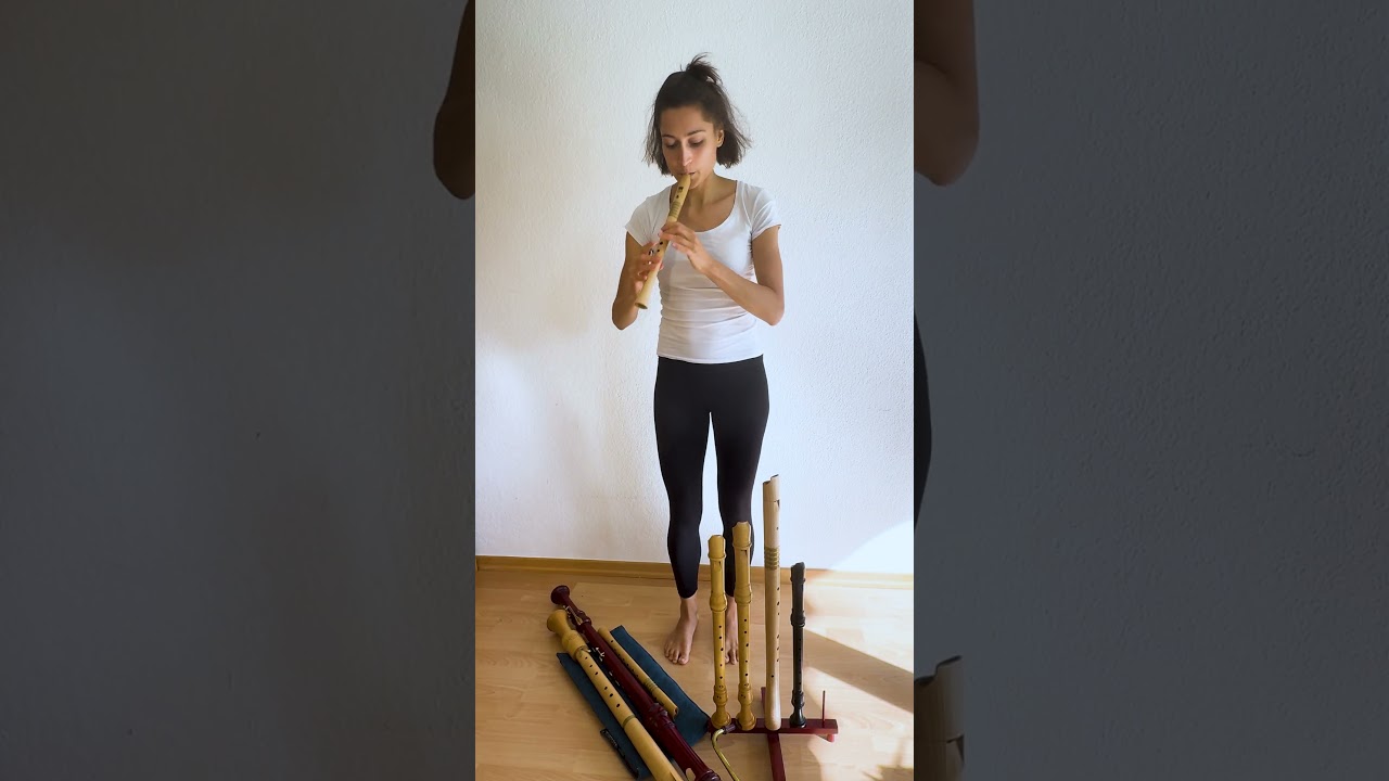 From deep bass to soaring sopranino 🎶 #recorder #bass #scales