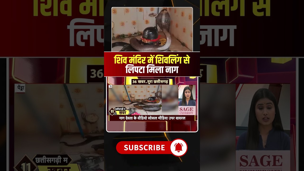 पेंड्रा के बचरवार गांव में शिवलिंग से लिपटा मिला नाग। 