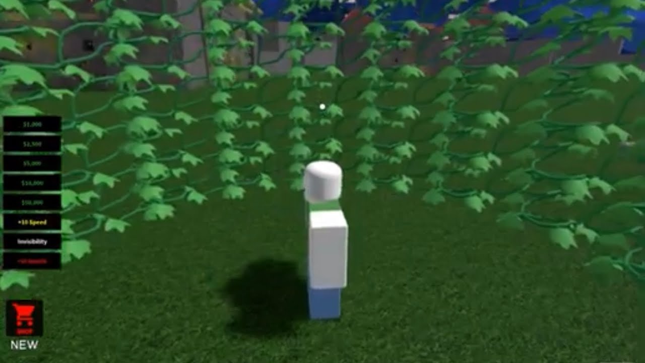 walking through the vine staff