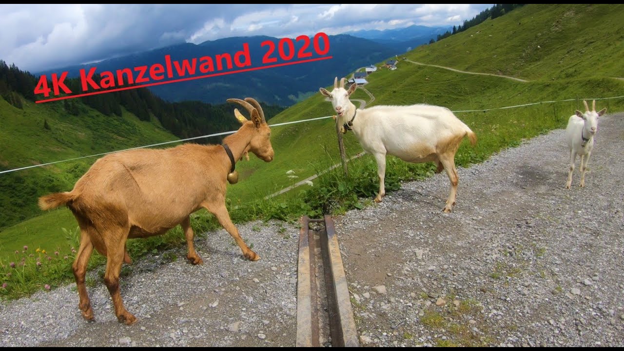 4K50 Kanzelwand Kleinwalsertal Wanderung 2020