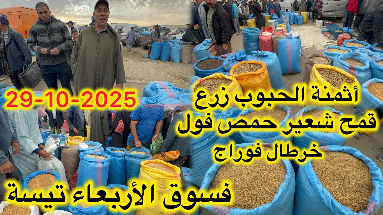 أثمنة الحبوب زرع قمح شعير حمص فول خرطال فوراج فسوق أربعاء تيسة 29/10/2025