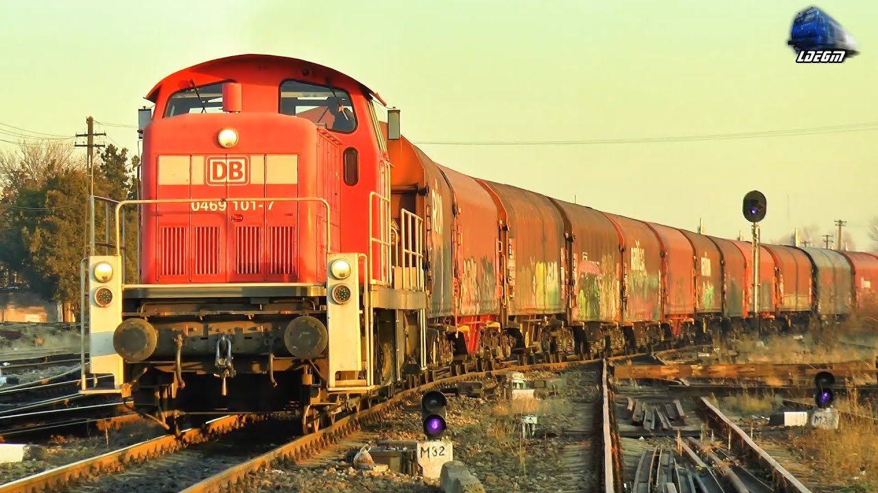 Trenuri de Marfă pe Seară/Freight Trains on Evening in Episcopia Bihor & Oradea - 25 November 2021