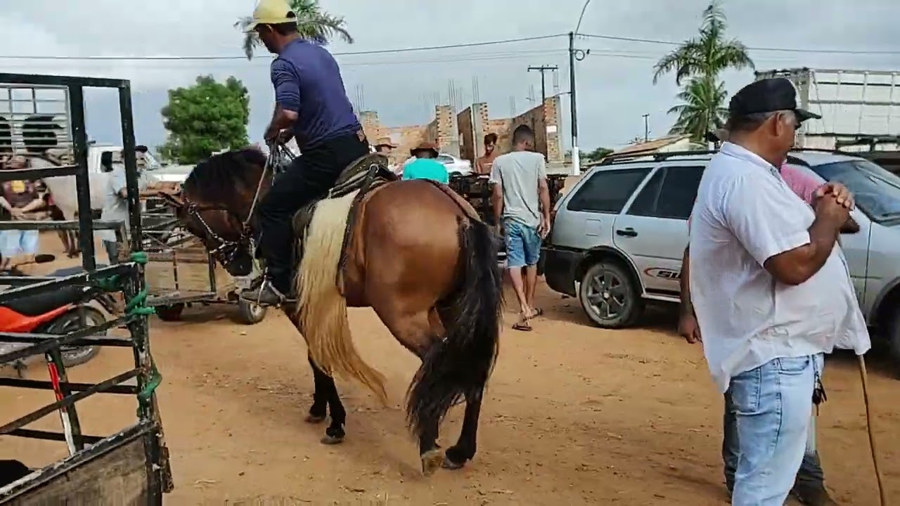 Feira de cavalos em Cipó BA 11/10/23