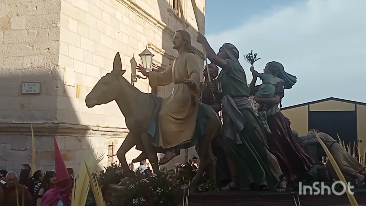 Procesión de Domingo de Ramos Zamora 2024