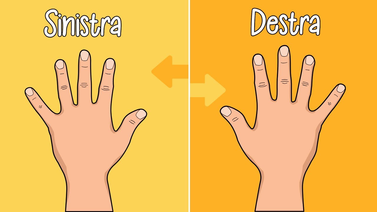 Destra Sinistra Canzoni Per Bambini🎙️🌈
