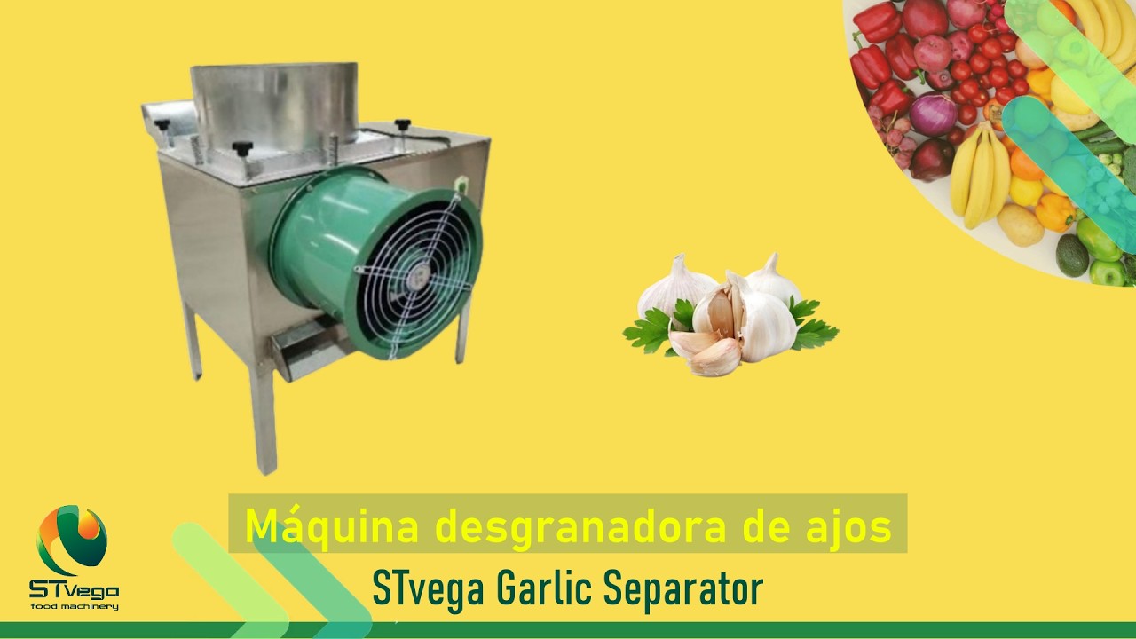 Máquina industrial STvega Garlic Separator para desgranar cabezas de ajo en dientes.
