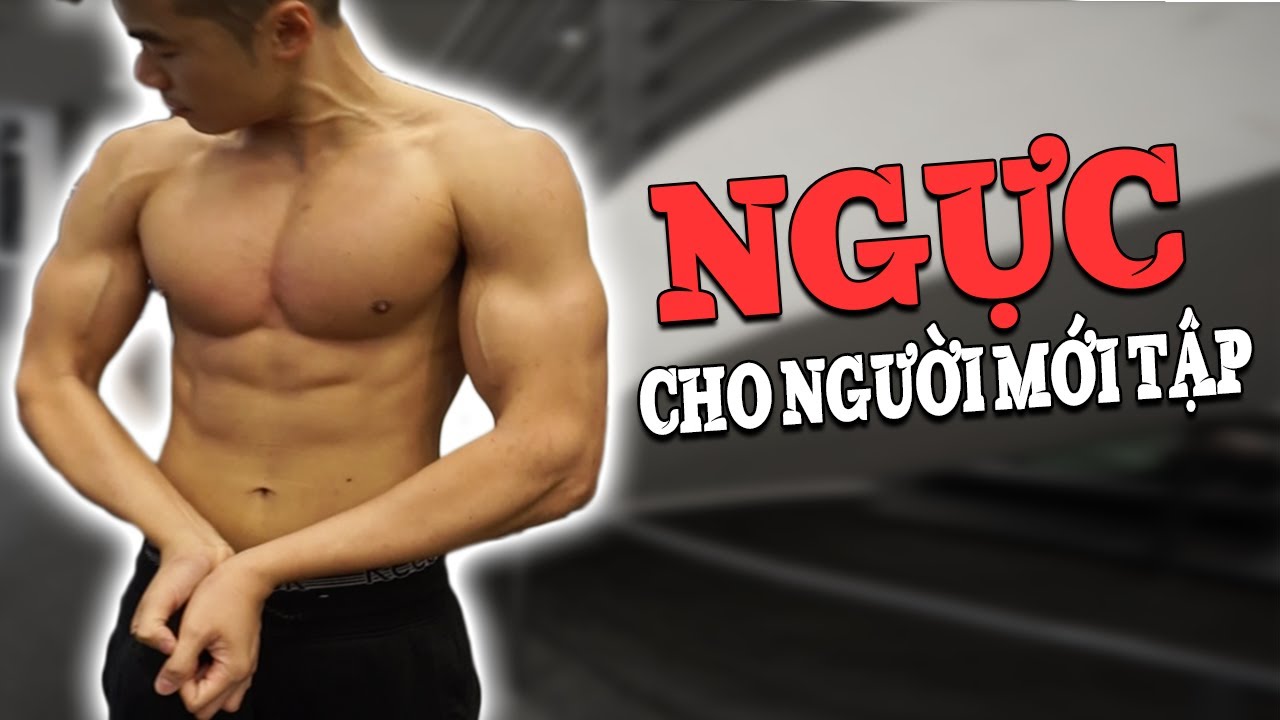 CÁCH TẬP NGỰC CHO NGƯỜI MỚI TẬP
