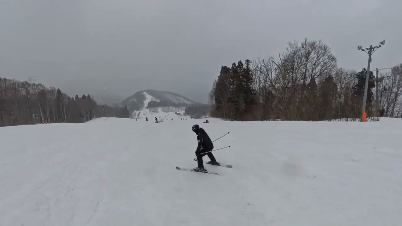 神樂綠線 ski