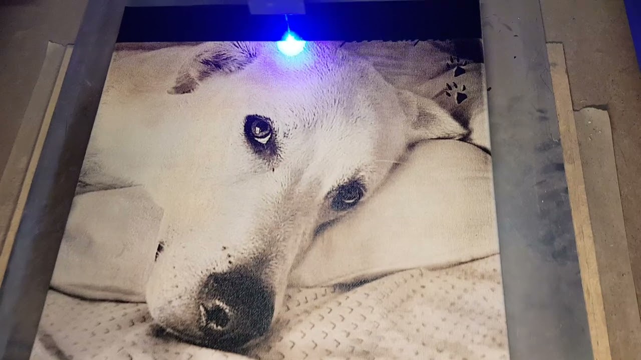 Incisione LASER diodo su tela 30x30 trattamento acrilico