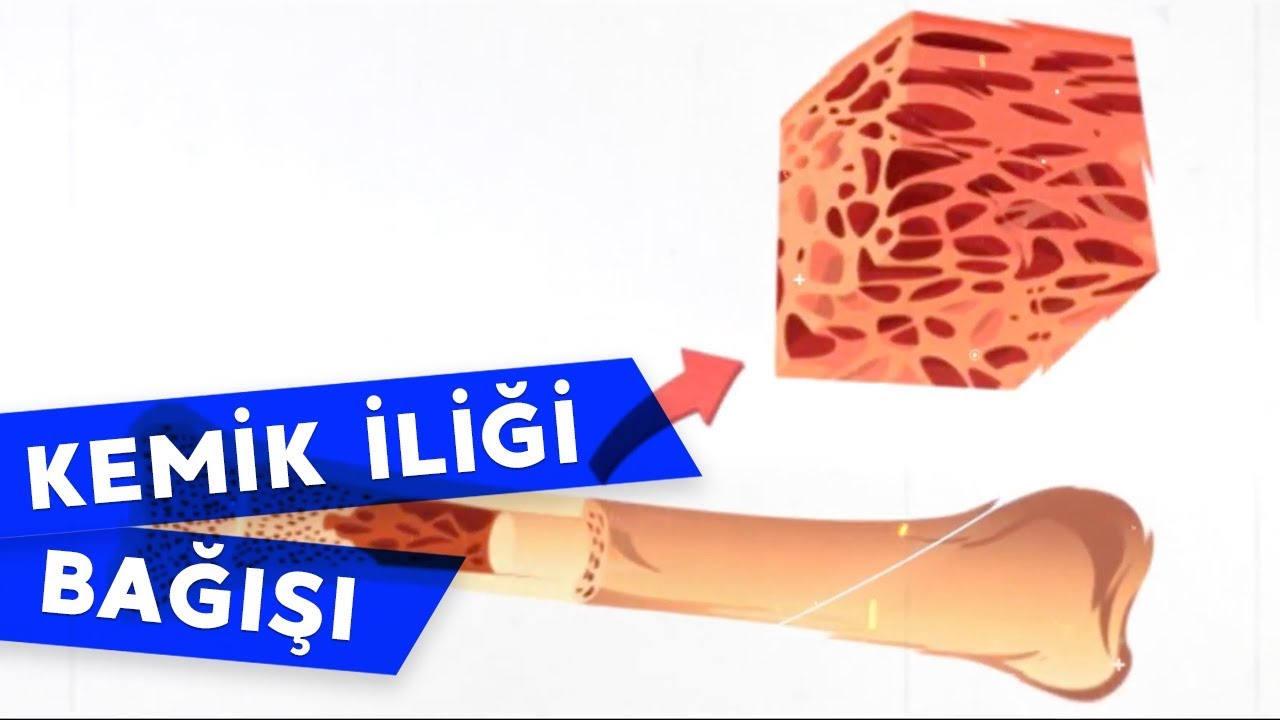 Kemik İliği Bağışı Nasıl Yapılır ve Aşamaları Nelerdir? #ilik #sağlık #iliknakli