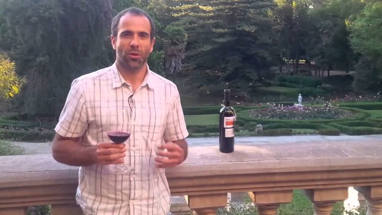 Aldi Lot - Carmenere  2008 - Sebastian Labbe