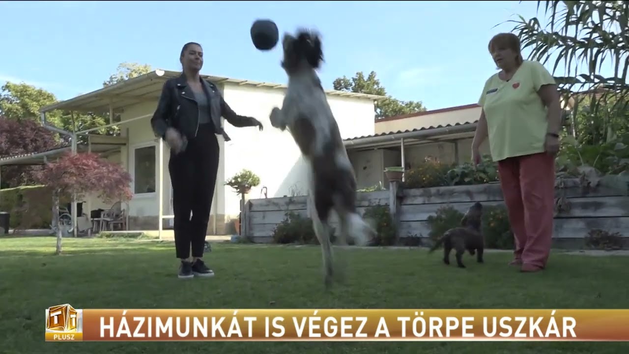 2022 szeptember 3. TV2 Tények plusz