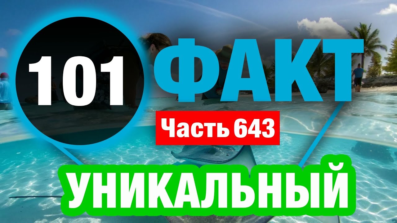101 Факт, Который Вас Поразит