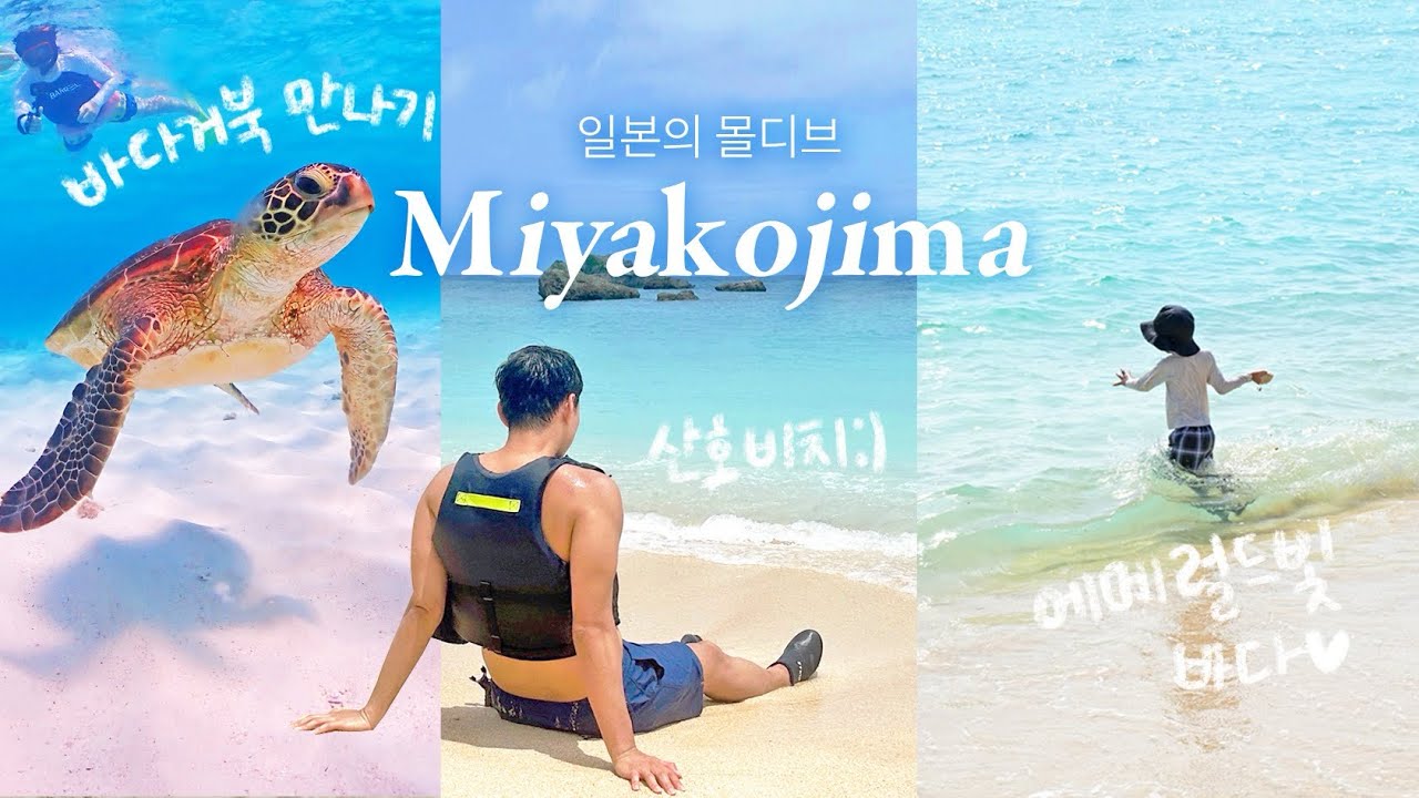 진에어 직항타고 일본 미야코지마 여행🌴액티비티 스노클링 호텔 관광지 3박4일 추천코스