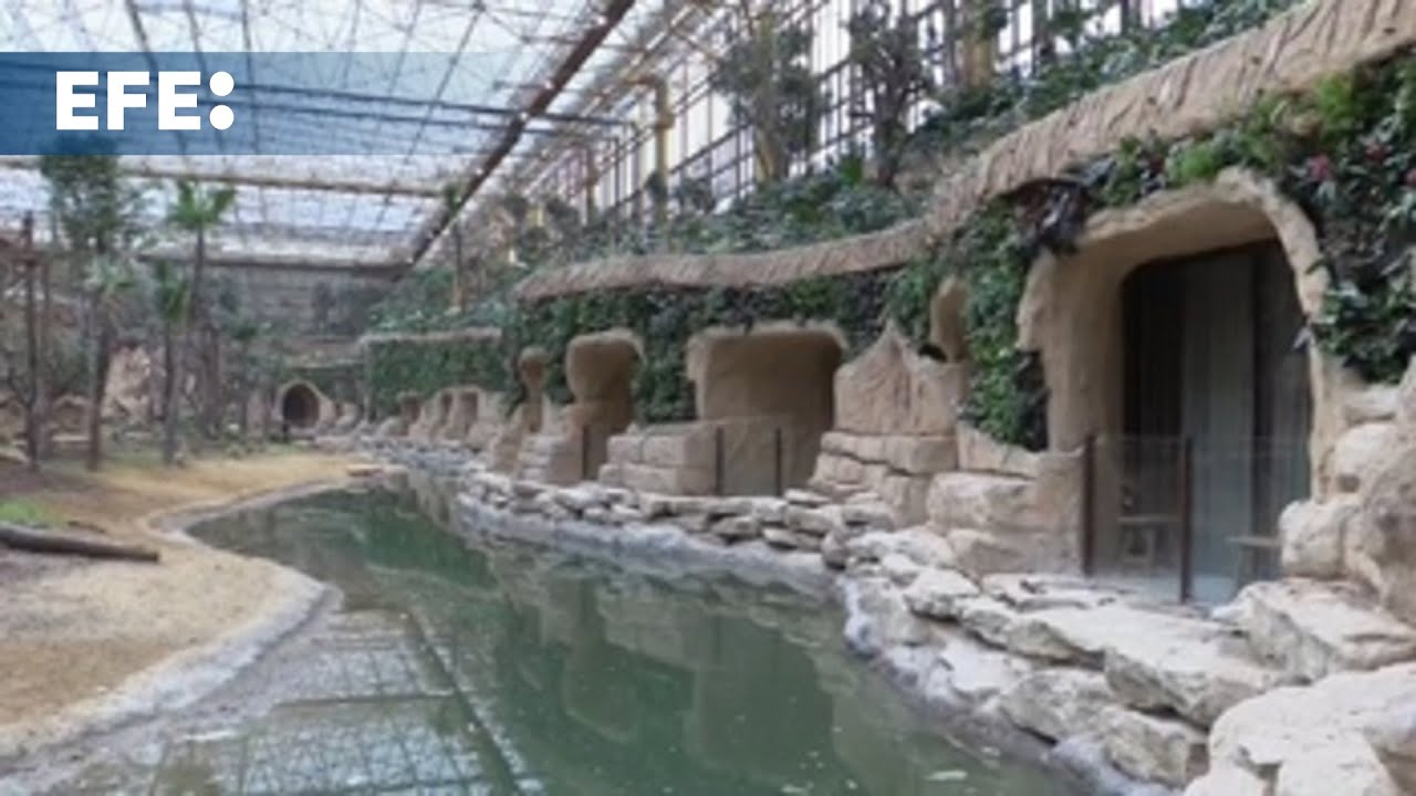 Una selva bajo cristal: abre el mayor invernadero tropical del mundo con hotel subacuático