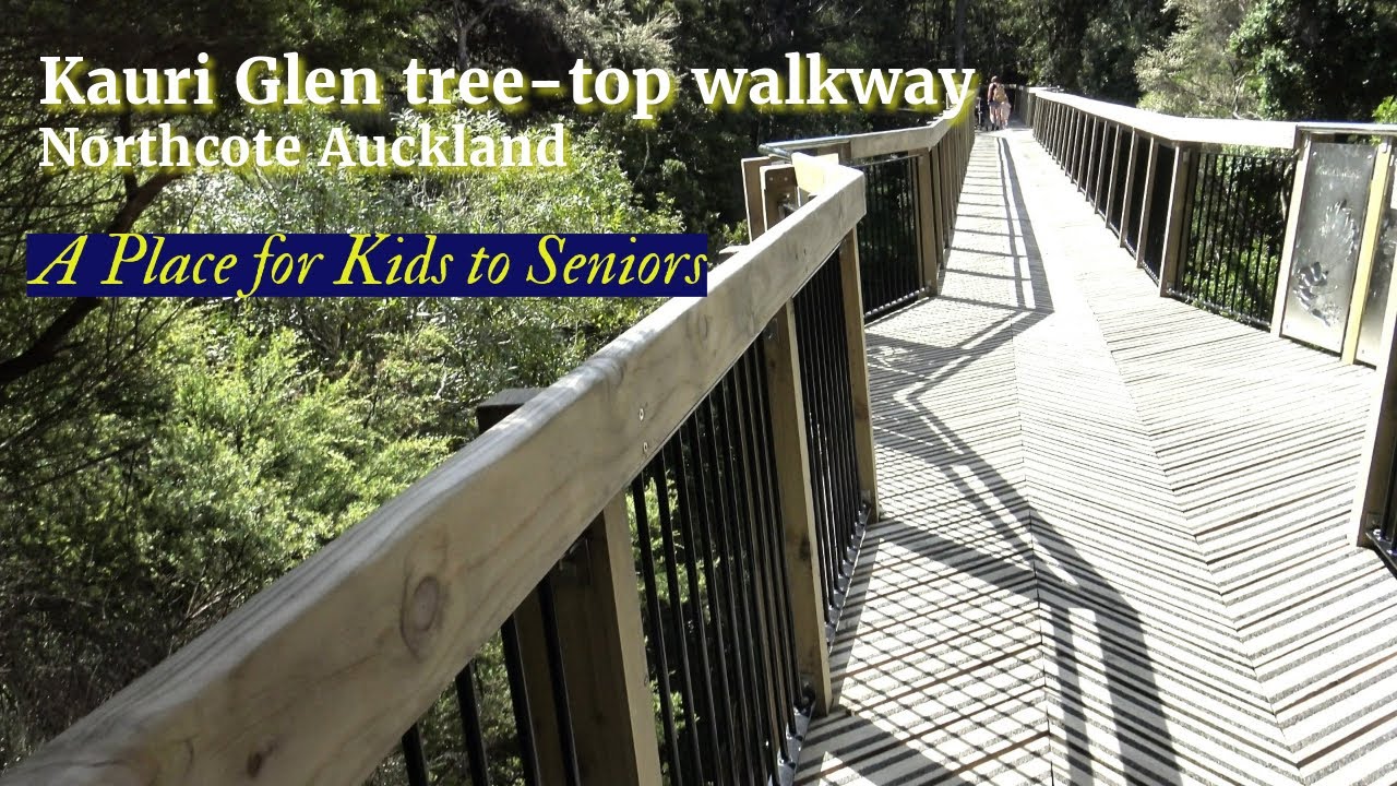 Tree-top Walkway in North Shore Auckland | worth visiting