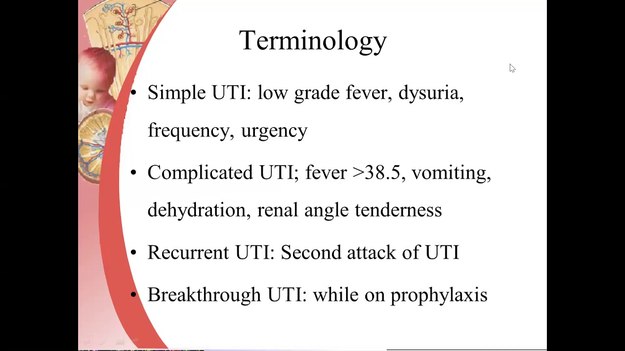 Lecture on UTI & VUR by Dr  Ramesh Babu