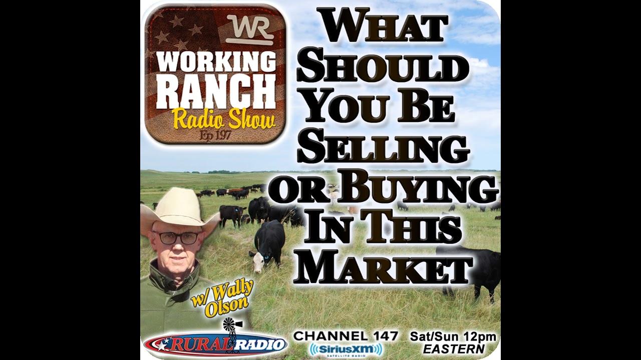 Ep 197: What Should You Be Selling and Buying in this Market w/ Wally Olson