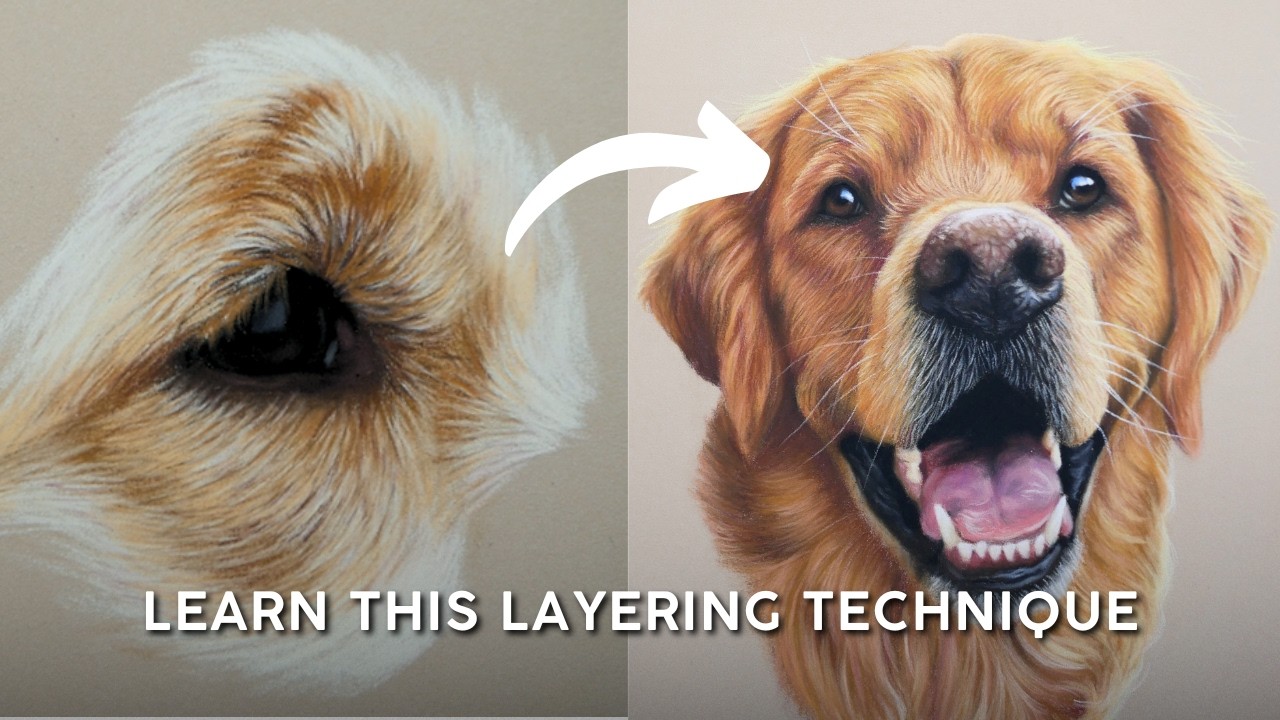 Golden Retriever Fur in Pastel Pencils | Easy Realism