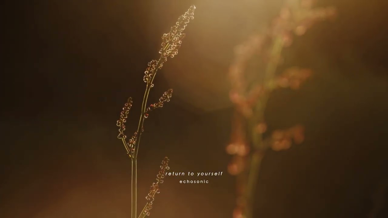 Return to Yourself | Calming Frequencies for Inner Clarity & Peace