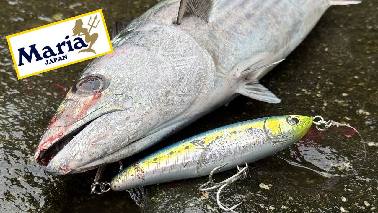 Fishing Australia with the Maria LOADED | Sydney Rockfishing