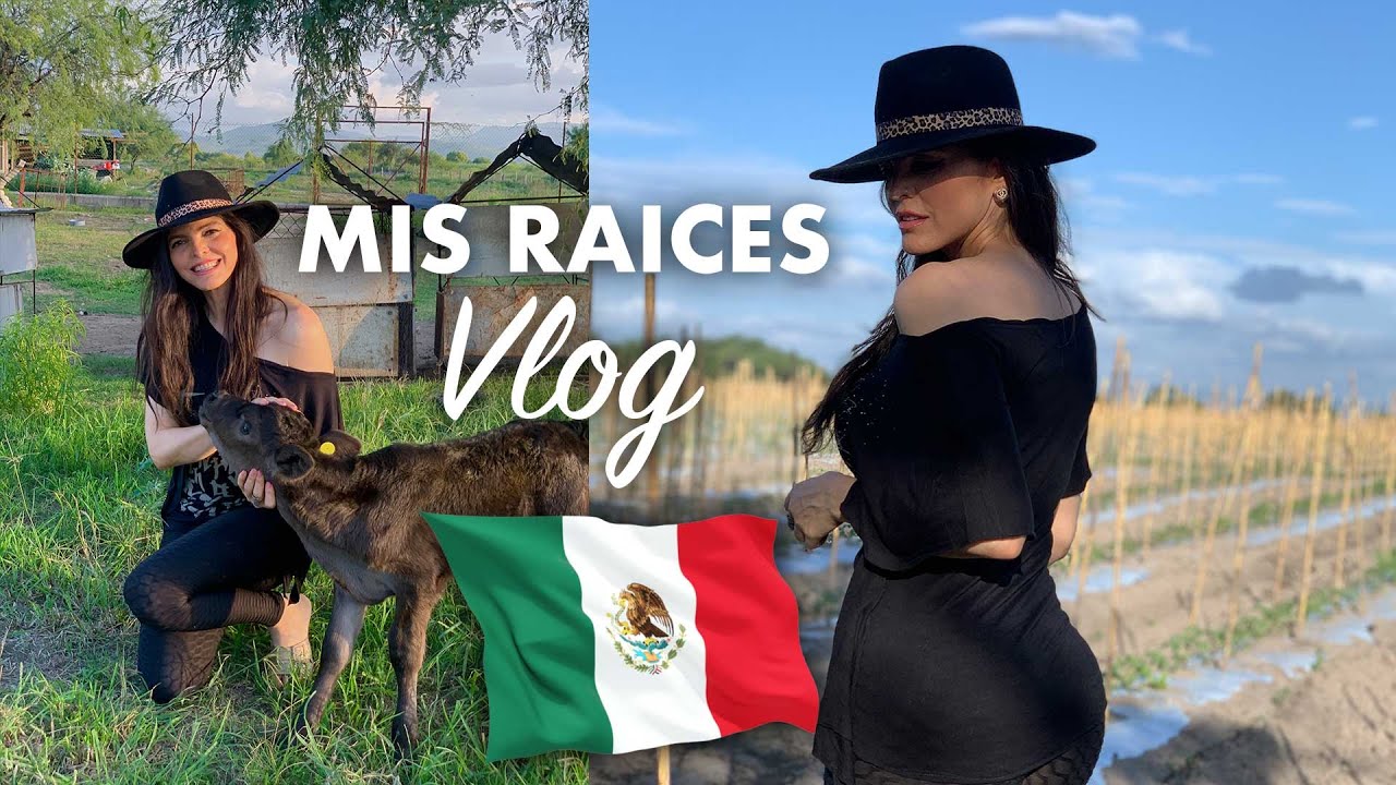 MIS RAICES | La Vida Bárbara