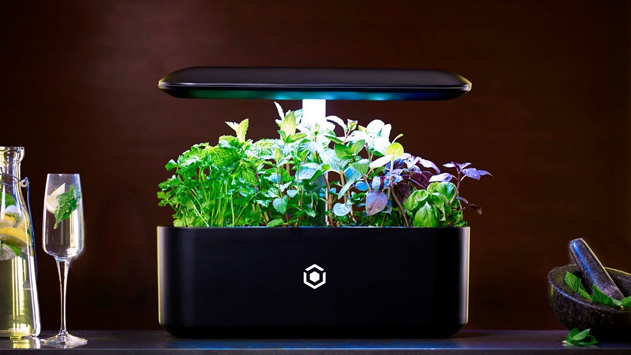 Top 5 Indoor garden technology | hydroponic system