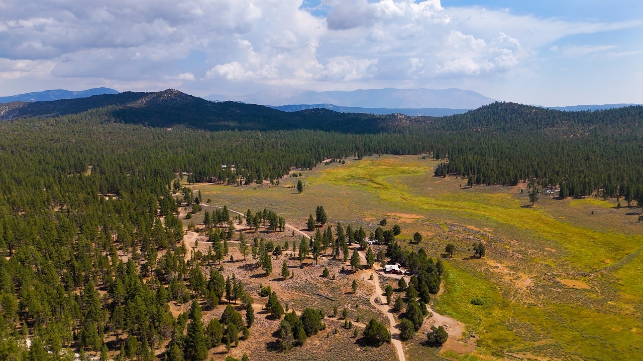 Best Campground in Big Bear - Holcomb Valley