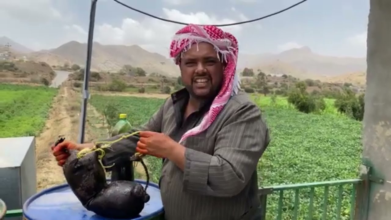 قاطور القربة