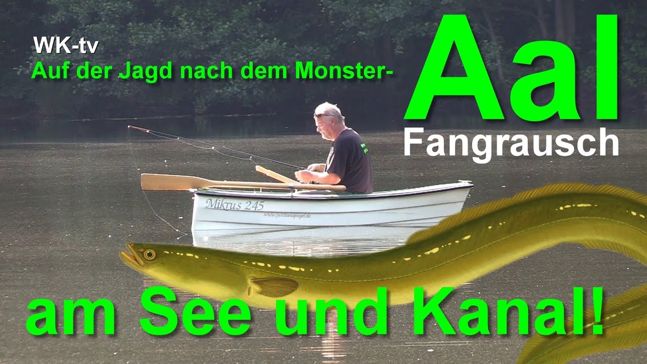 Auf Aal am See und Kanal - Gnevsdorfer Vorfluter - Fangrausch am Rande zwischen Elbe und Havel