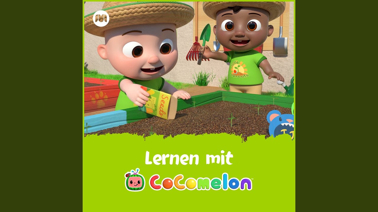 Das Lied vom Koerper