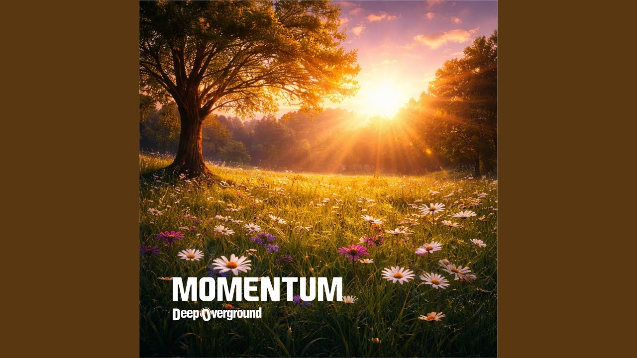 Momentum