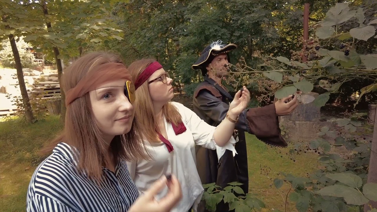 Einarm und Einauge - Die Erkundung des ABI Südparks