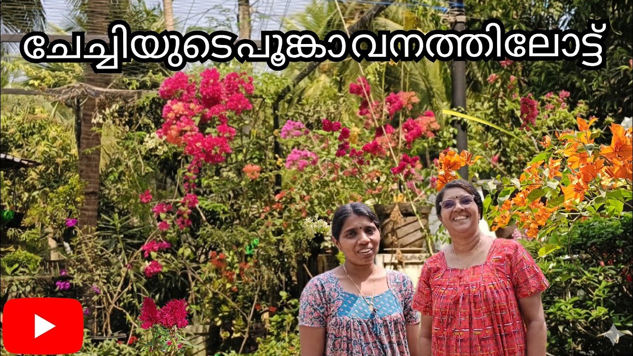 ചേച്ചിയുടെ പുങ്കാവനത്തിലോട്ട്.....🥰🥰🥰
